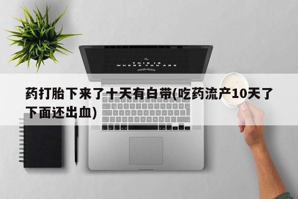 流产药私人联系方式微信药打胎下来了十天有白带(吃药流产10天了下面还出血)