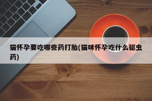 流产药私人联系方式微信猫怀孕要吃哪些药打胎(猫咪怀孕吃什么驱虫药)