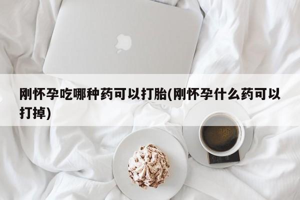 流产药私人联系方式微信刚怀孕吃哪种药可以打胎(刚怀孕什么药可以打掉)