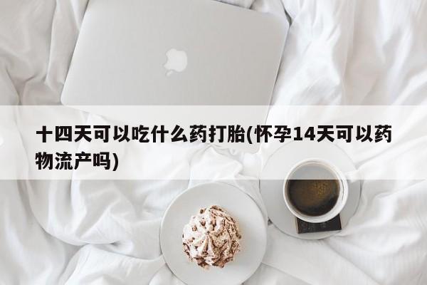 流产药私人联系方式微信十四天可以吃什么药打胎(怀孕14天可以药物流产吗)